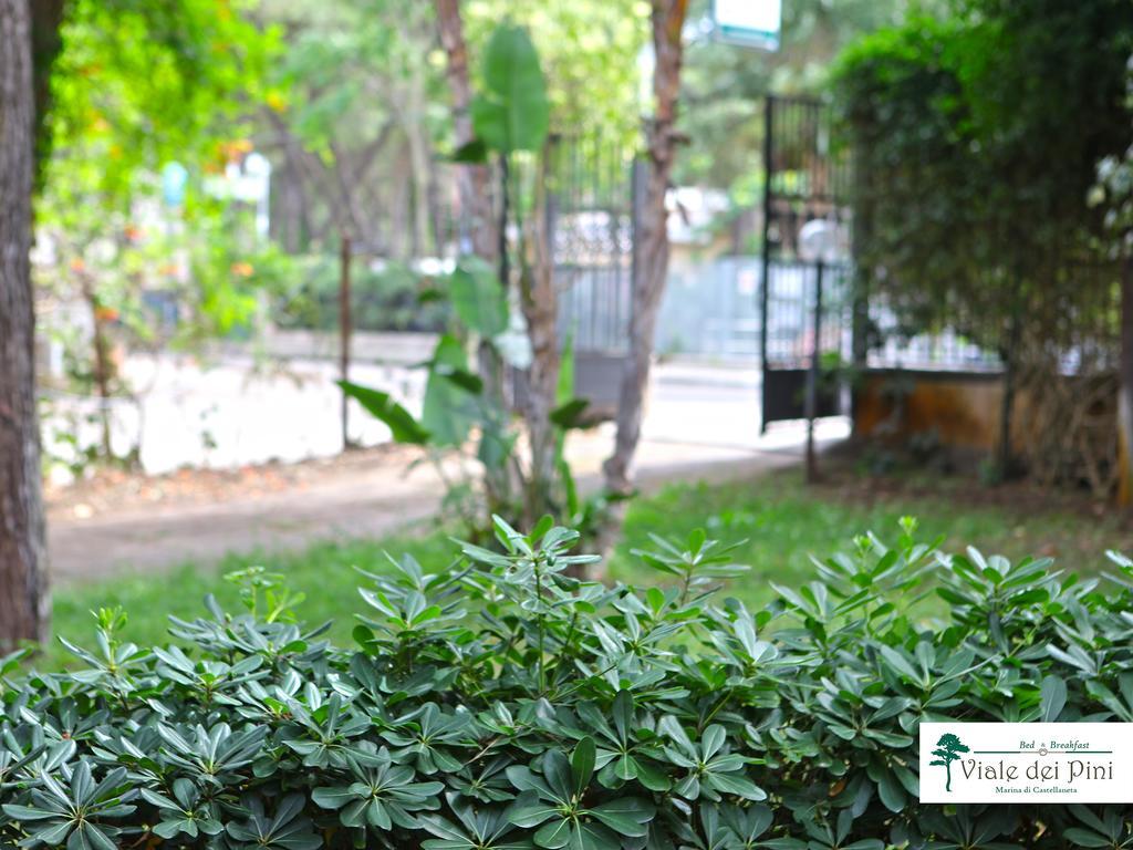 Bed & Breakfast Viale Dei Pini 2*