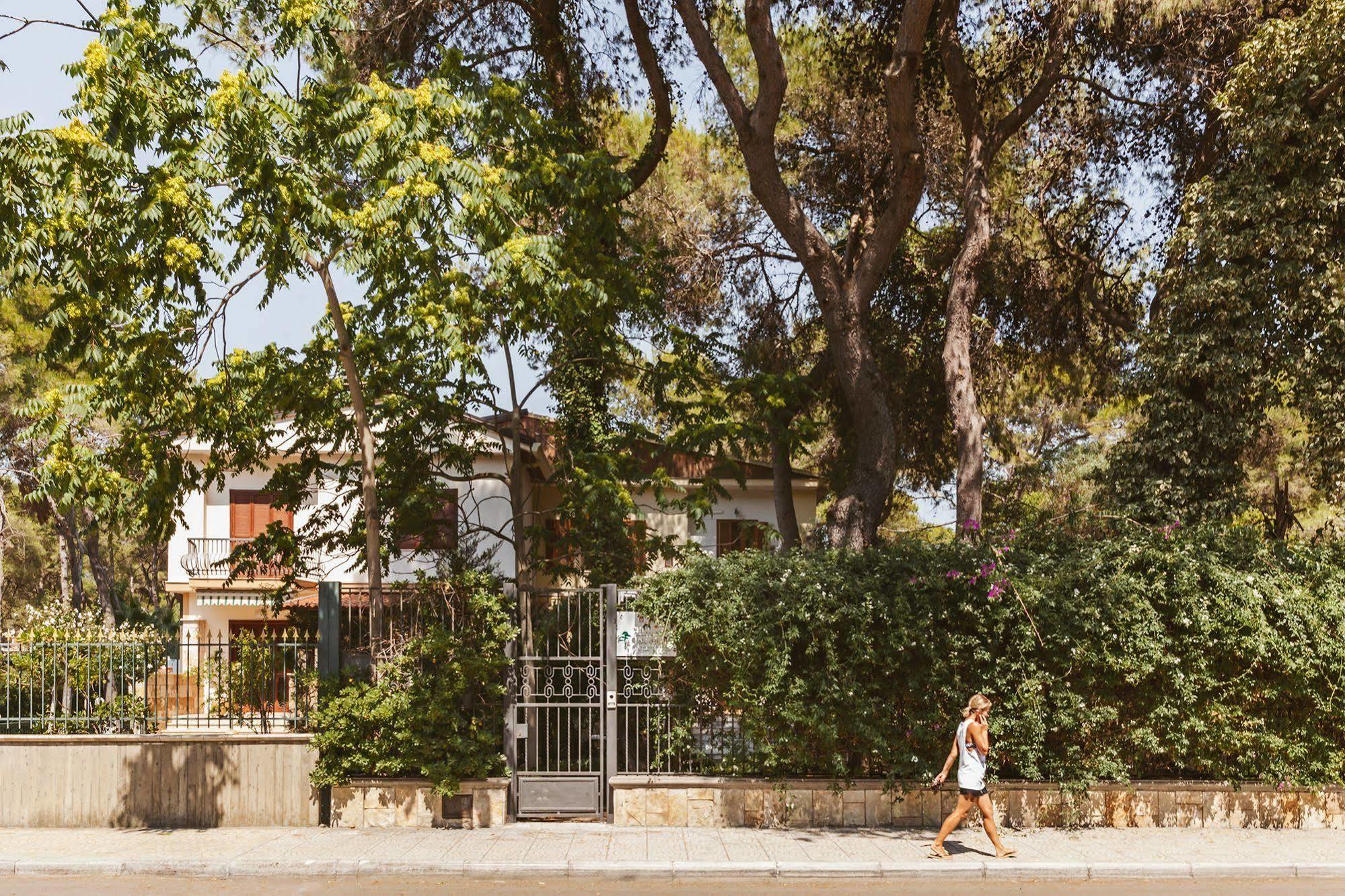 Viale Dei Pini