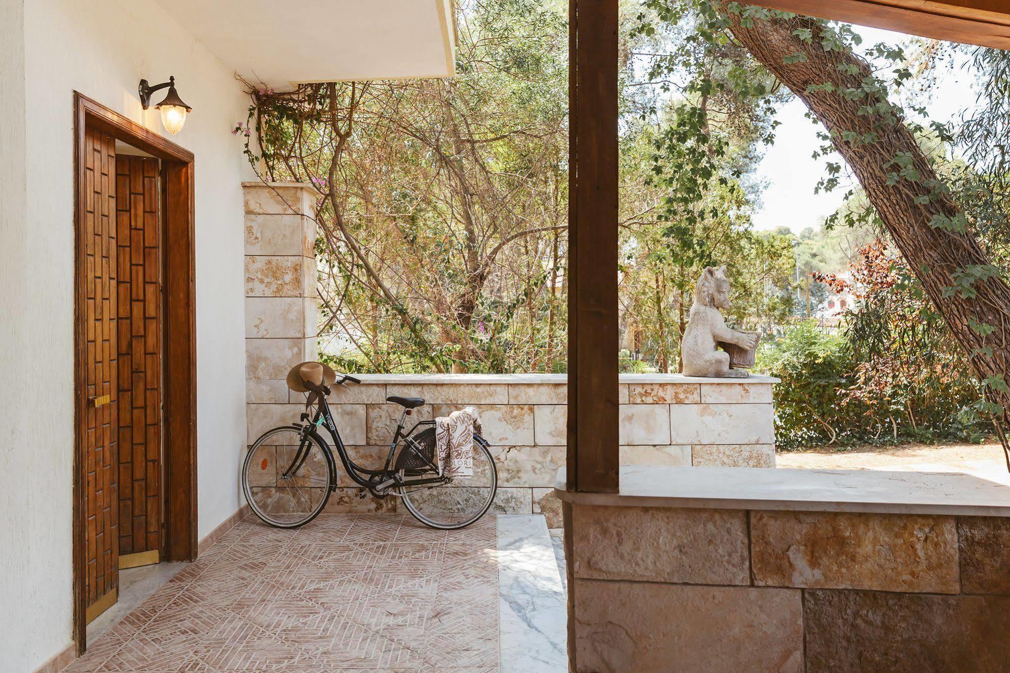 Bed & Breakfast Viale Dei Pini 2*