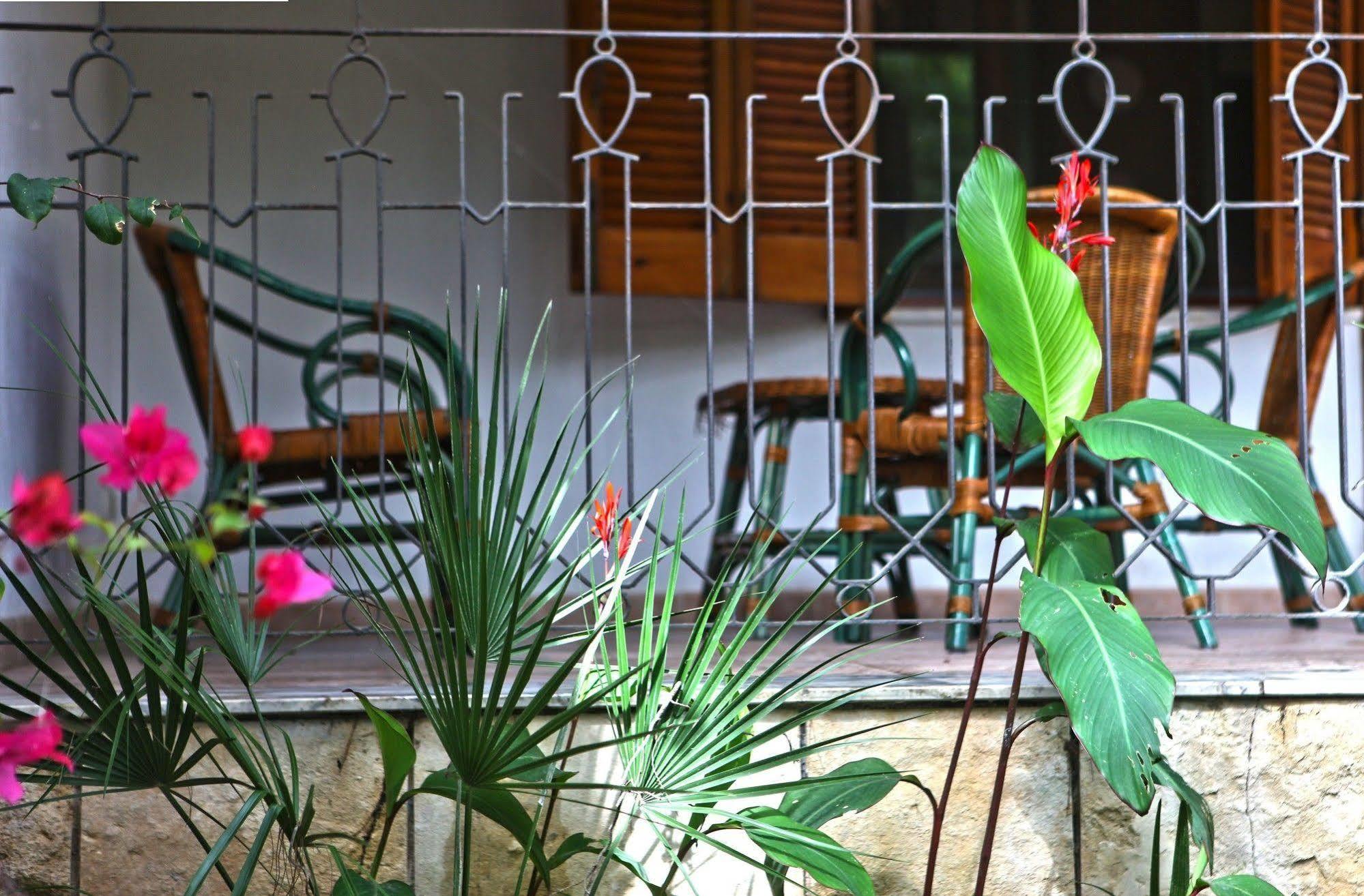 Bed & Breakfast Viale Dei Pini 2*