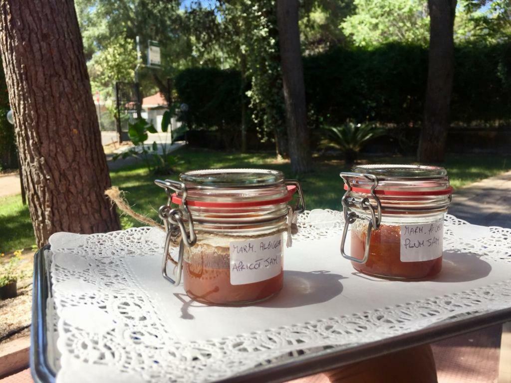 Bed & Breakfast Viale Dei Pini 2*